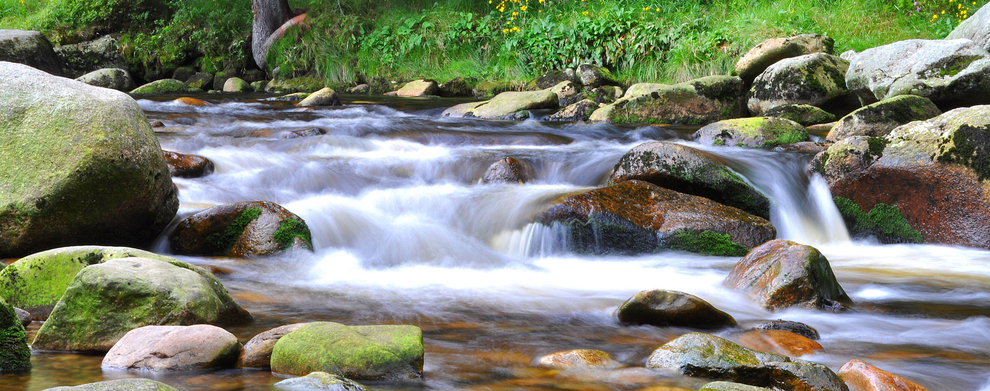 Urlaub im Nationalpark Bayerischer Wald